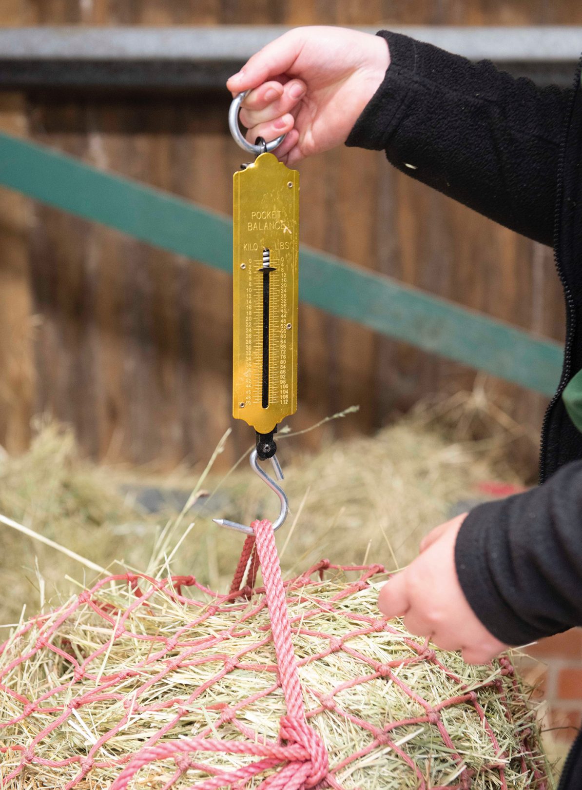 Tipping the balance why the levels of equine obesity are escalating *H