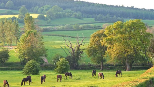 countryside code