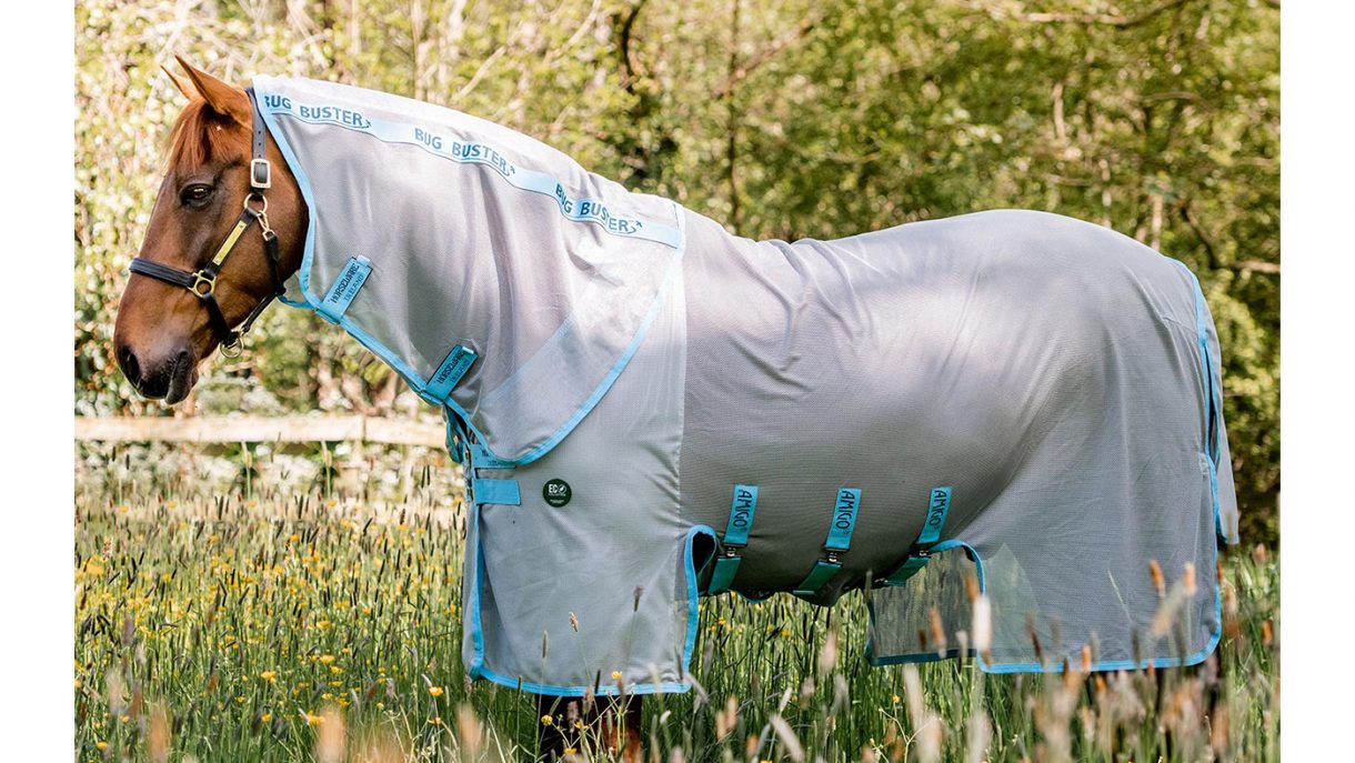 Best fly rugs for horses find the best protection Horse & Hound
