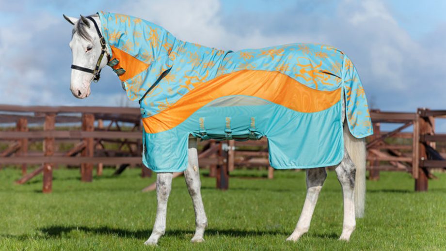 Best fly rugs to protect your horse Horse & Hound