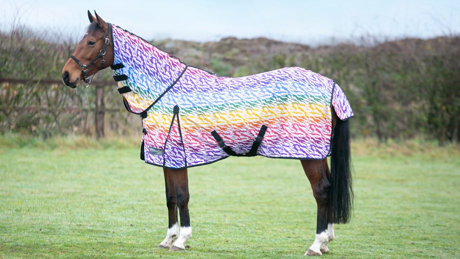 Best fly rugs to protect your horse Horse & Hound