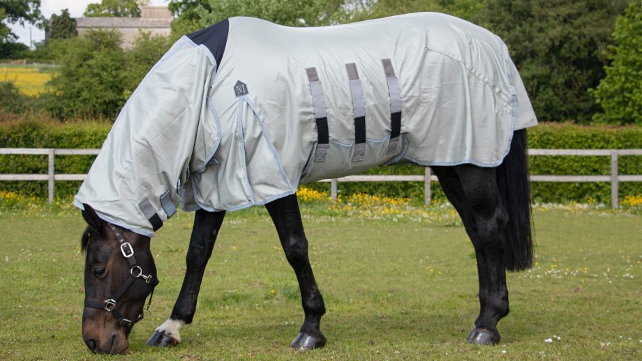 Best fly rugs for horses find the best protection Horse & Hound