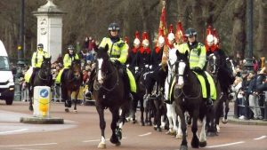 Metropolitan Police retired police horse