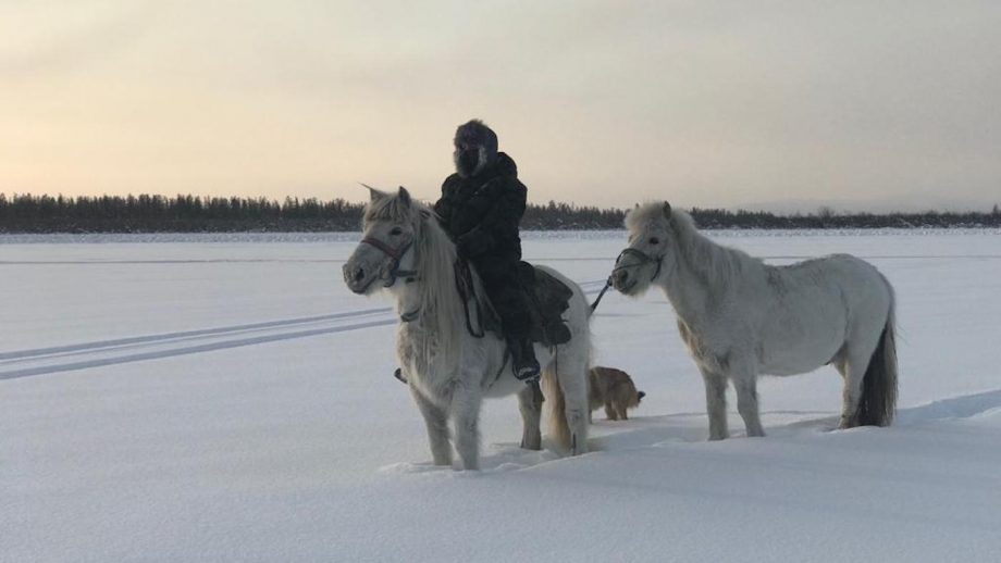 around the world horse trek