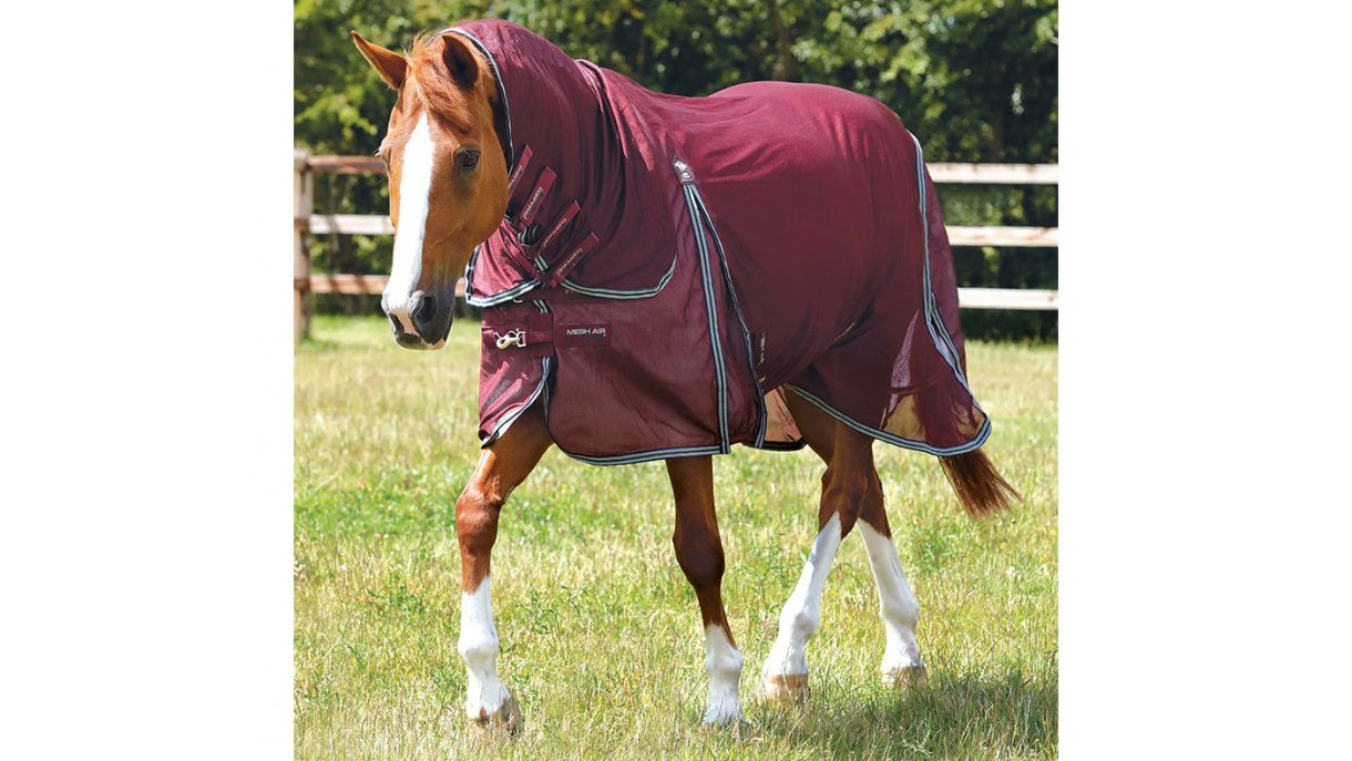 Best fly rugs for horses find the best protection Horse & Hound