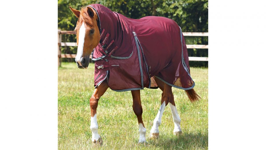 Premier Equine Combo Mesh Air Fly Rug