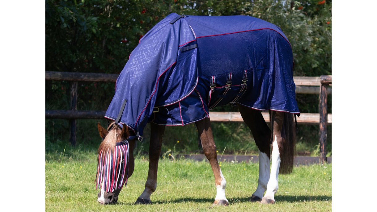 Best waterproof fly rugs for horses Horse & Hound