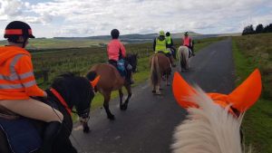 horse riders relay ride