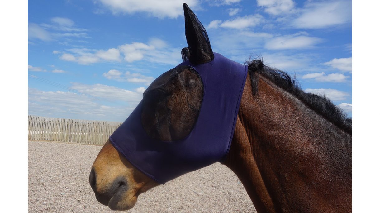 Best fly masks for horses in a range of designs Horse & Hound