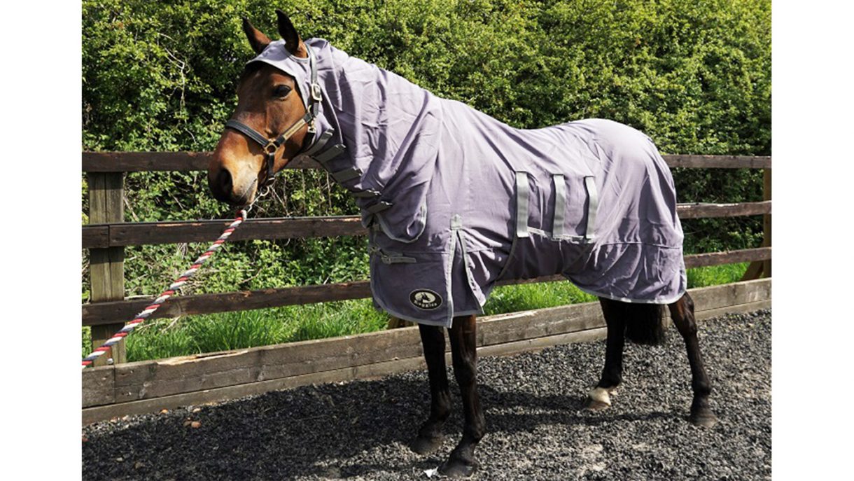 Best fly rugs to protect your horse Horse & Hound