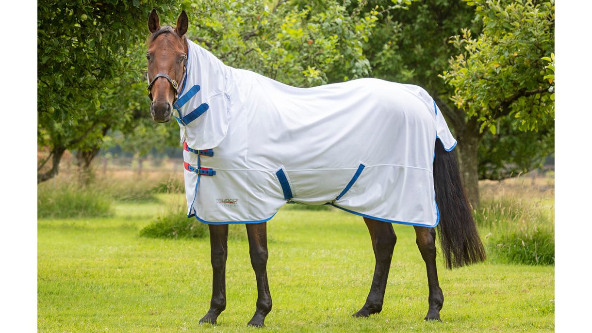 Best fly rugs for horses find the best protection Horse & Hound
