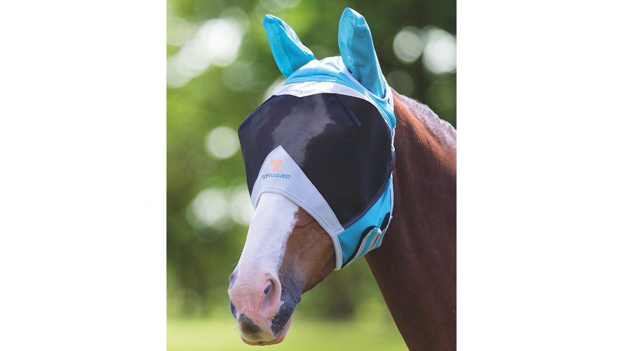 Best fly masks for horses in a range of designs Horse & Hound