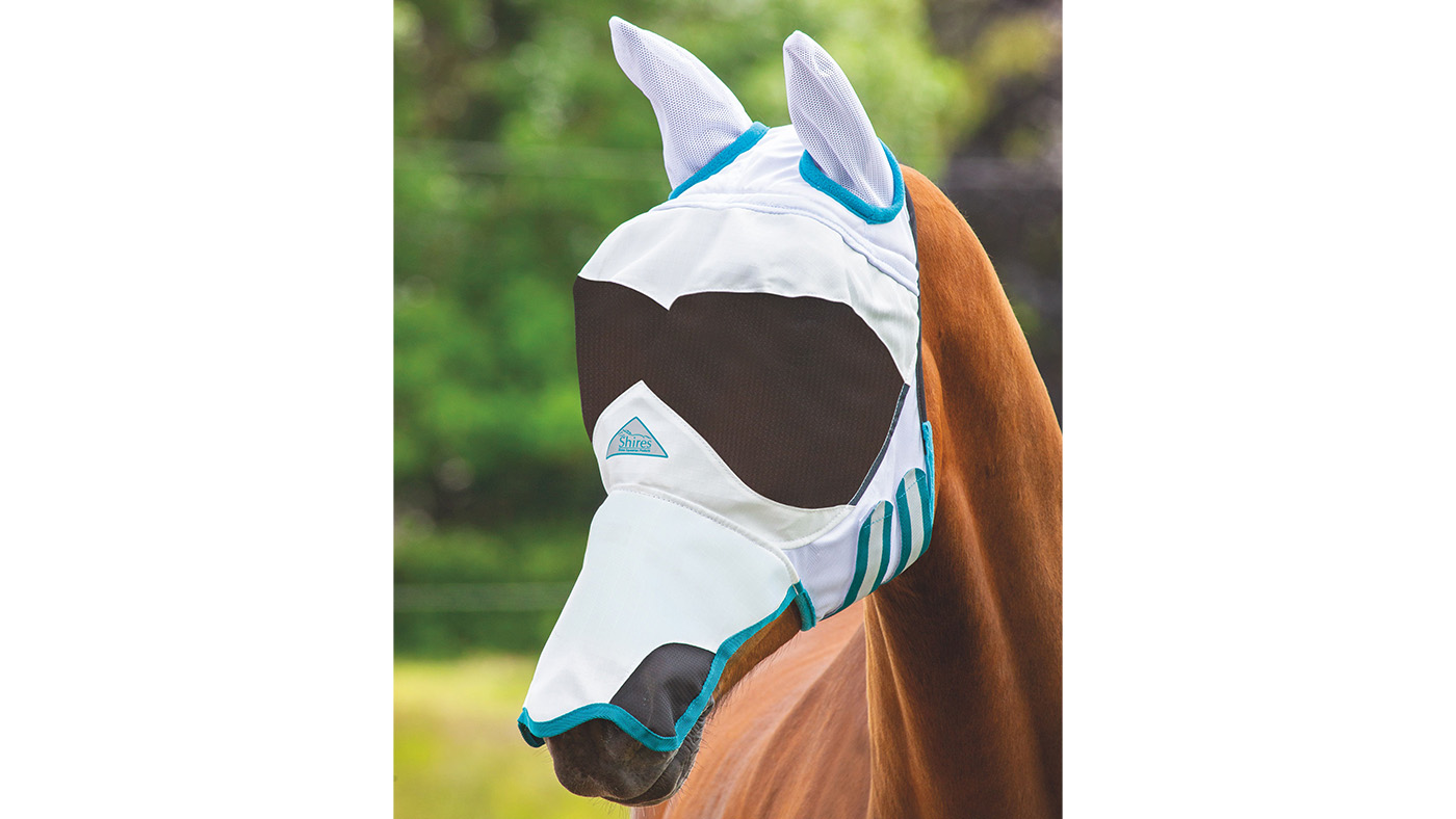 Best fly masks for horses in a range of designs Horse & Hound