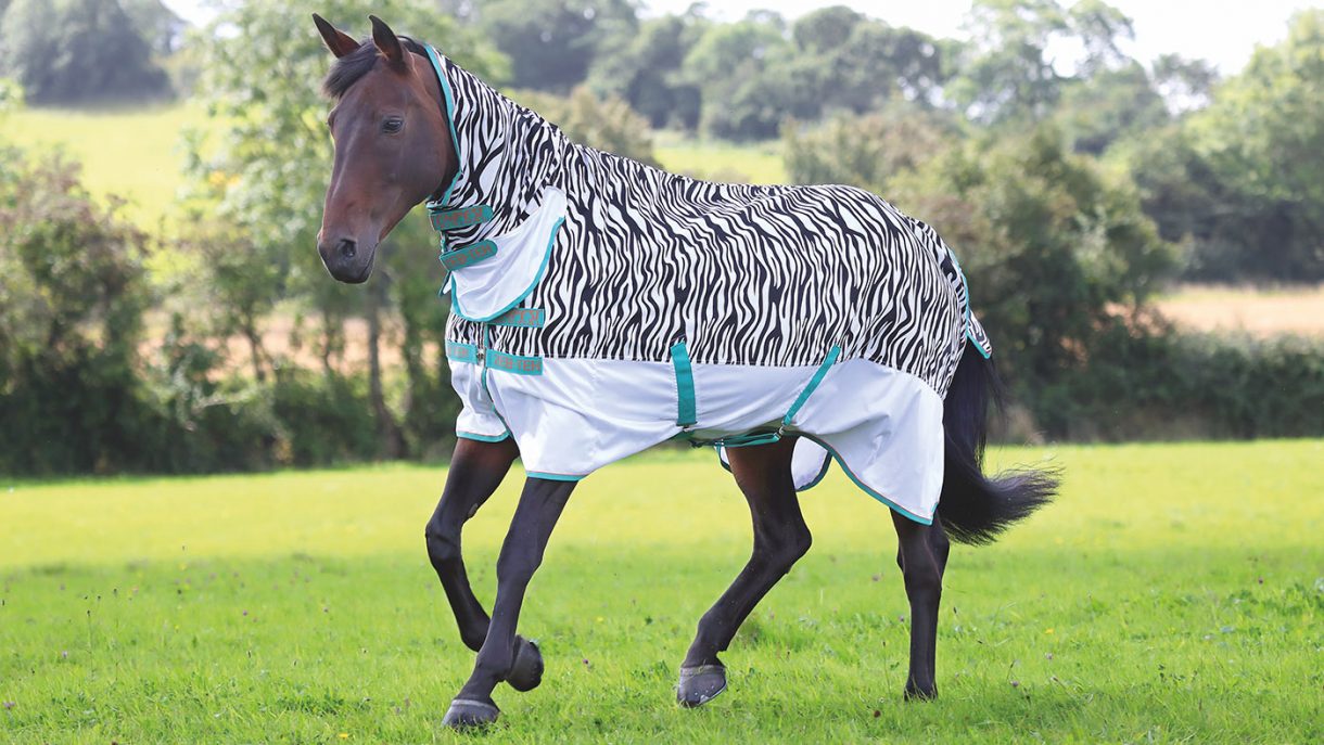 Best fly rugs to protect your horse Horse & Hound