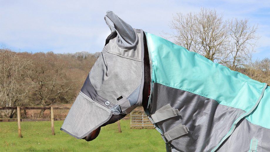 Swish fly mask