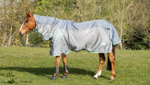 Why do horses wear rugs in summer