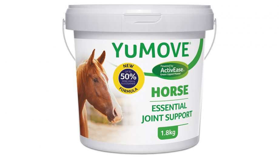 Joint supplements for horses what’s on the market?