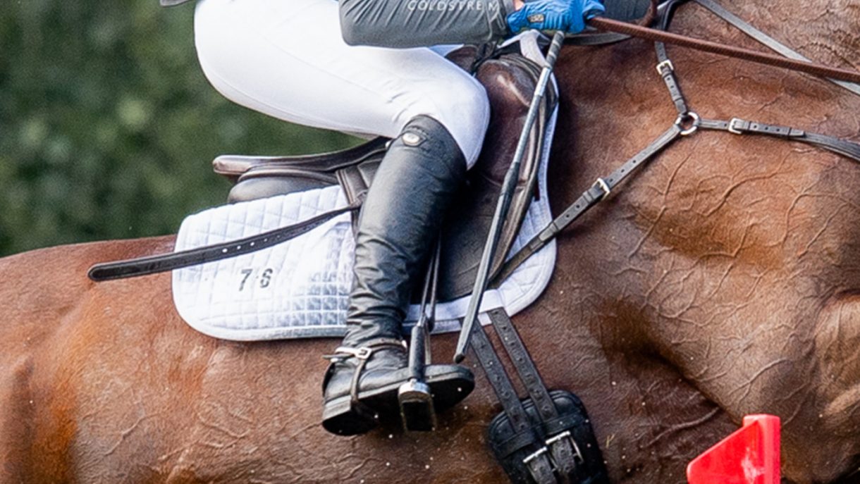 Best jump saddles for every budget Horse & Hound