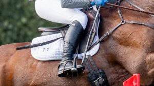 Rider in a jump saddle