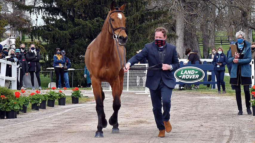 Kentucky first trot-up 2021: Oliver Townend and Cooley Master Class