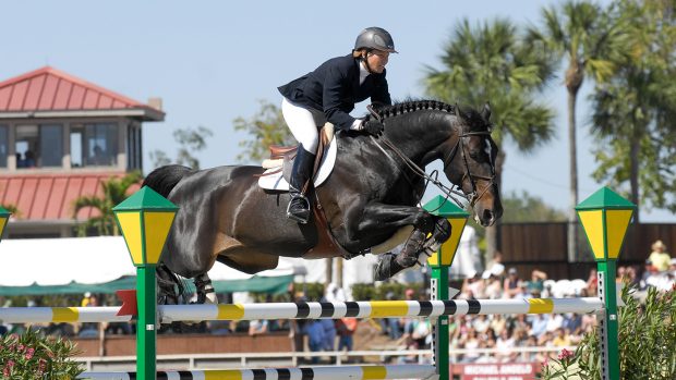 showjumping stallion dies