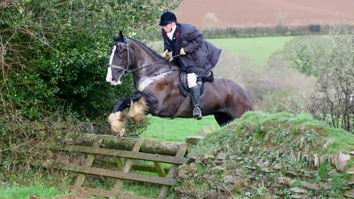 Cornwall Horse & Hound