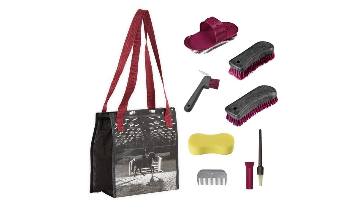 Best grooming kits for horses and all budgets Horse & Hound