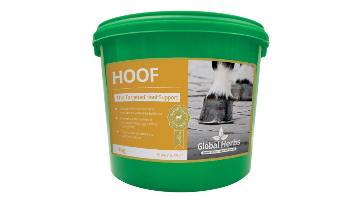 Hoof supplements for horses what’s on the market? Horse & Hound