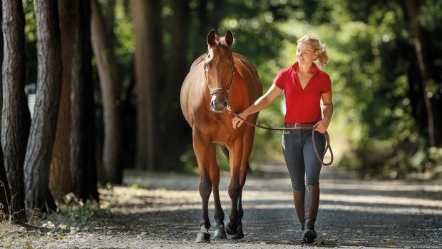 18-26-d336-Julia-Krajewski-GER-Samourai-du-Thot-sf- 2018-08-03- 12:02:07h- Reportage-Warendorf-DOKR-Deutschland,