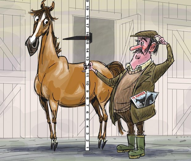 Horse and Hound- Breeder surprise v3