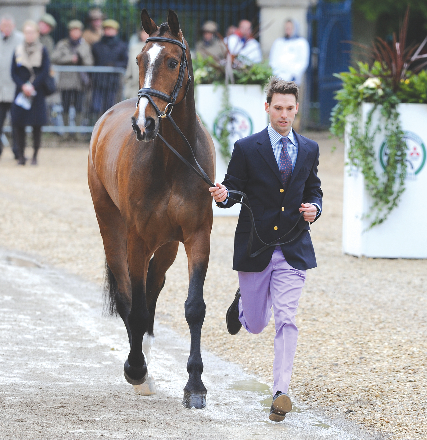 Harry Meade (GBR) riding Wild Lone during the Final Horse Inspection at the Badminton Horse Trials Gloucestershire, UK, 7-11th May, 2014