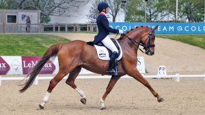 Anna Ross riding Newton Domino