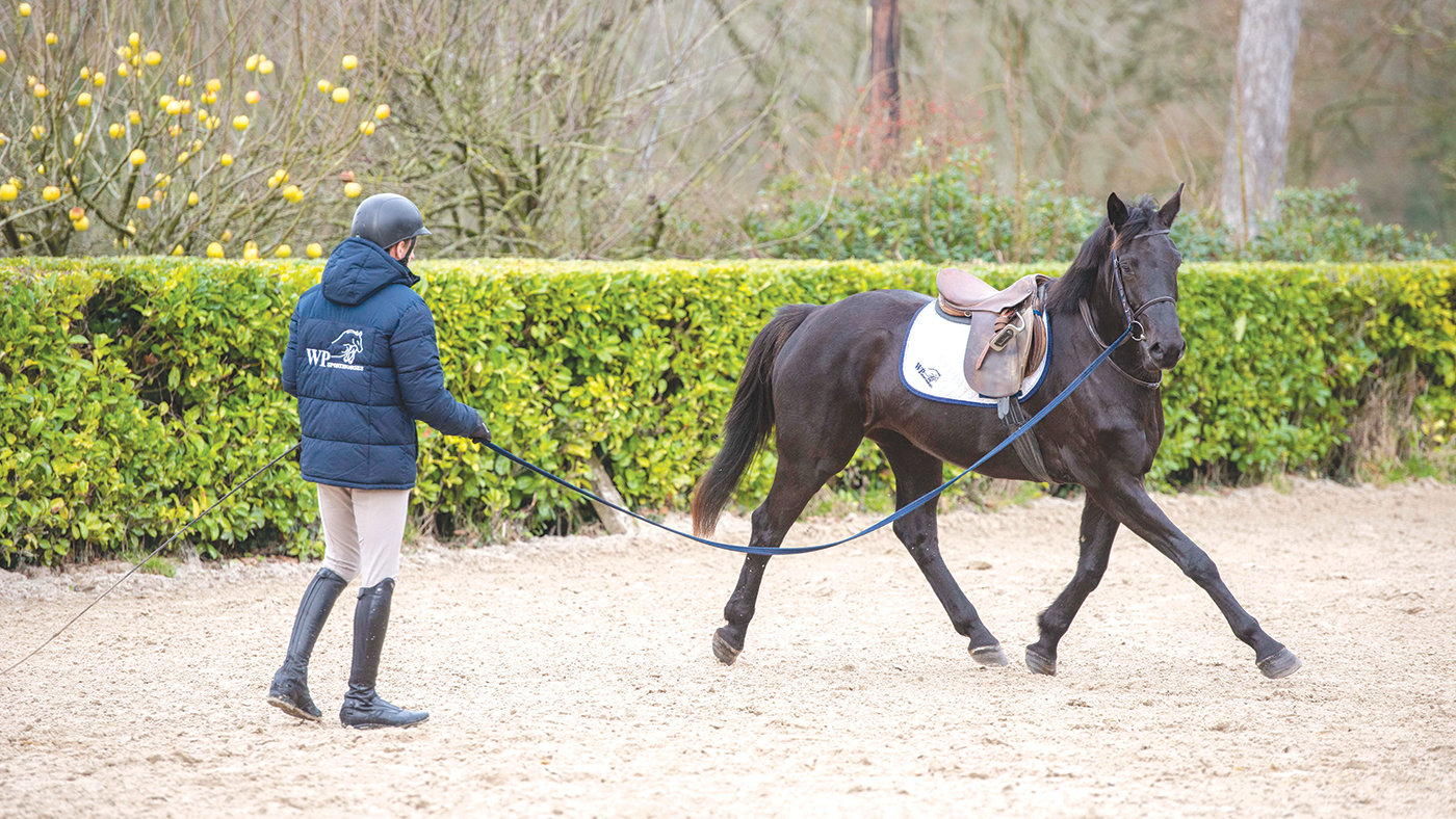 Will Plunkett getting on young Billy Stud horse Billy Candle. They could barely touch her 2 weeks before!