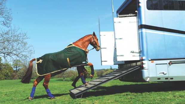 Horse shows around the UK have been cancelled or postponed owing to the red weather warning in place