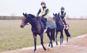 Rosie Margarson is pushing for more safety measures in Newmarket