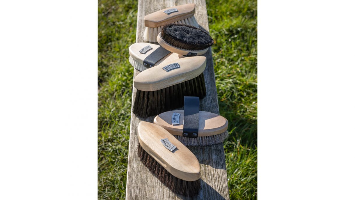 Best grooming kits for horses and all budgets Horse & Hound