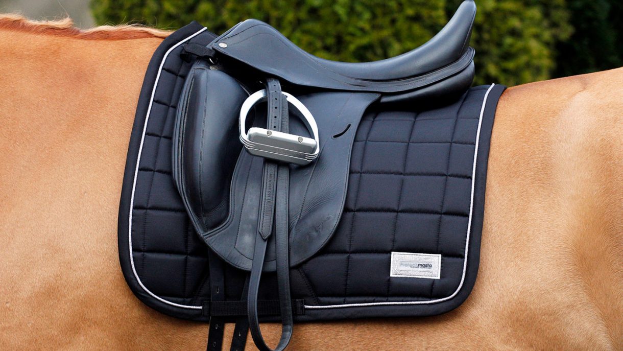 Best dressage pads for everyday training and competition Horse & Hound
