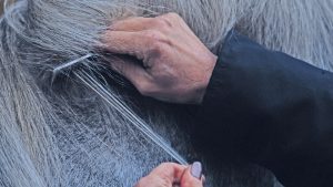 Here is your complete guide and top tips on how to pull a horse’s mane