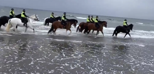 Police horses have a blast and 6 other great bits of horsey social media this week