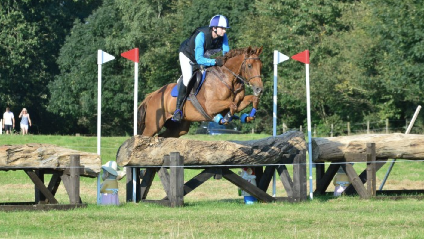 event horses for sale