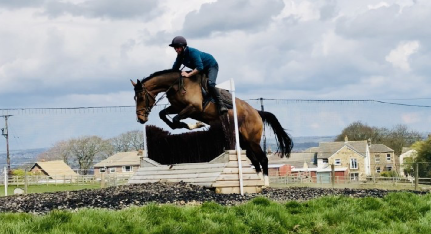 event horses for sale