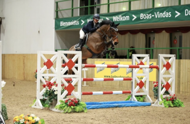 Irish Sports Horses for sale