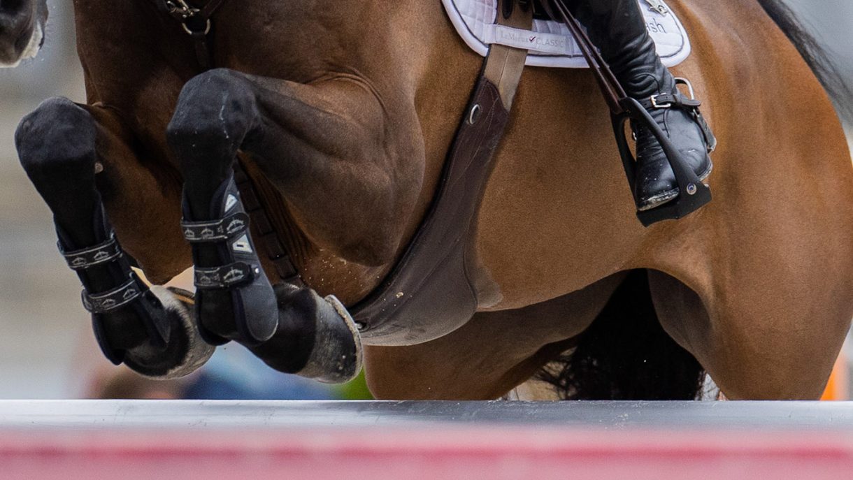Best stud girths to protect your horse while jumping Horse & Hound