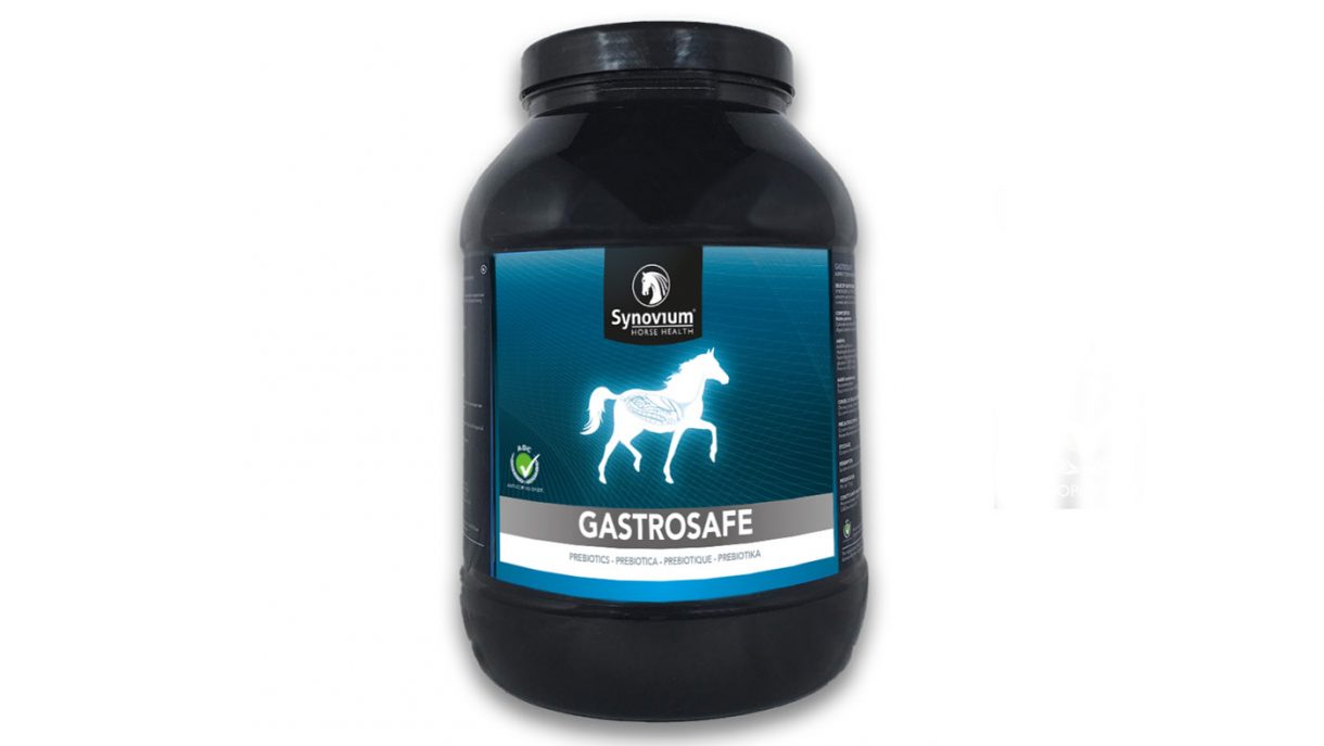Digestive supplements for horses what’s on the market?