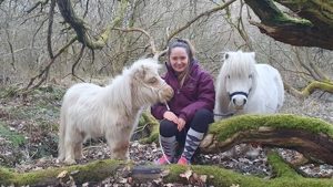 strangles in horses