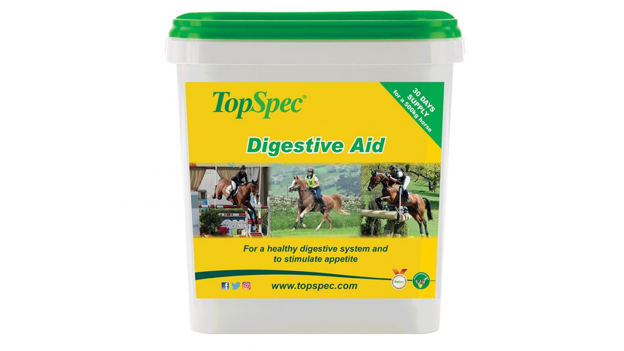 Best gut balancers for horses what’s on the market? Horse & Hound