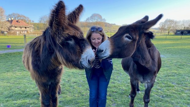 Donkey companion: Topper and Dolly