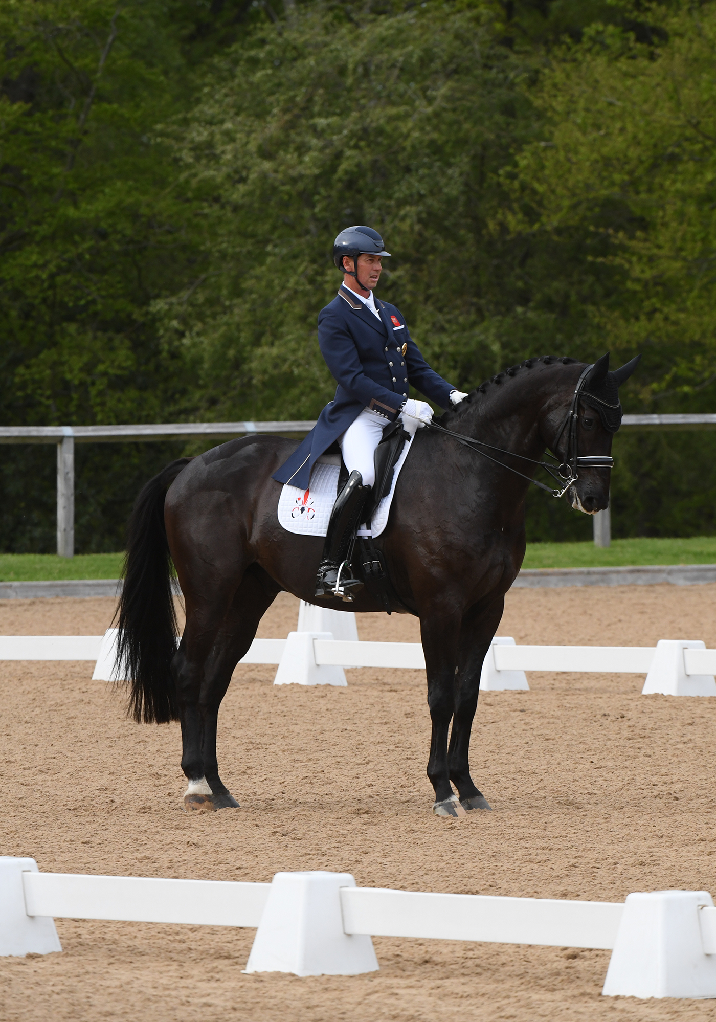 Carl Hester on En Vogue at Wellington CDI3*
