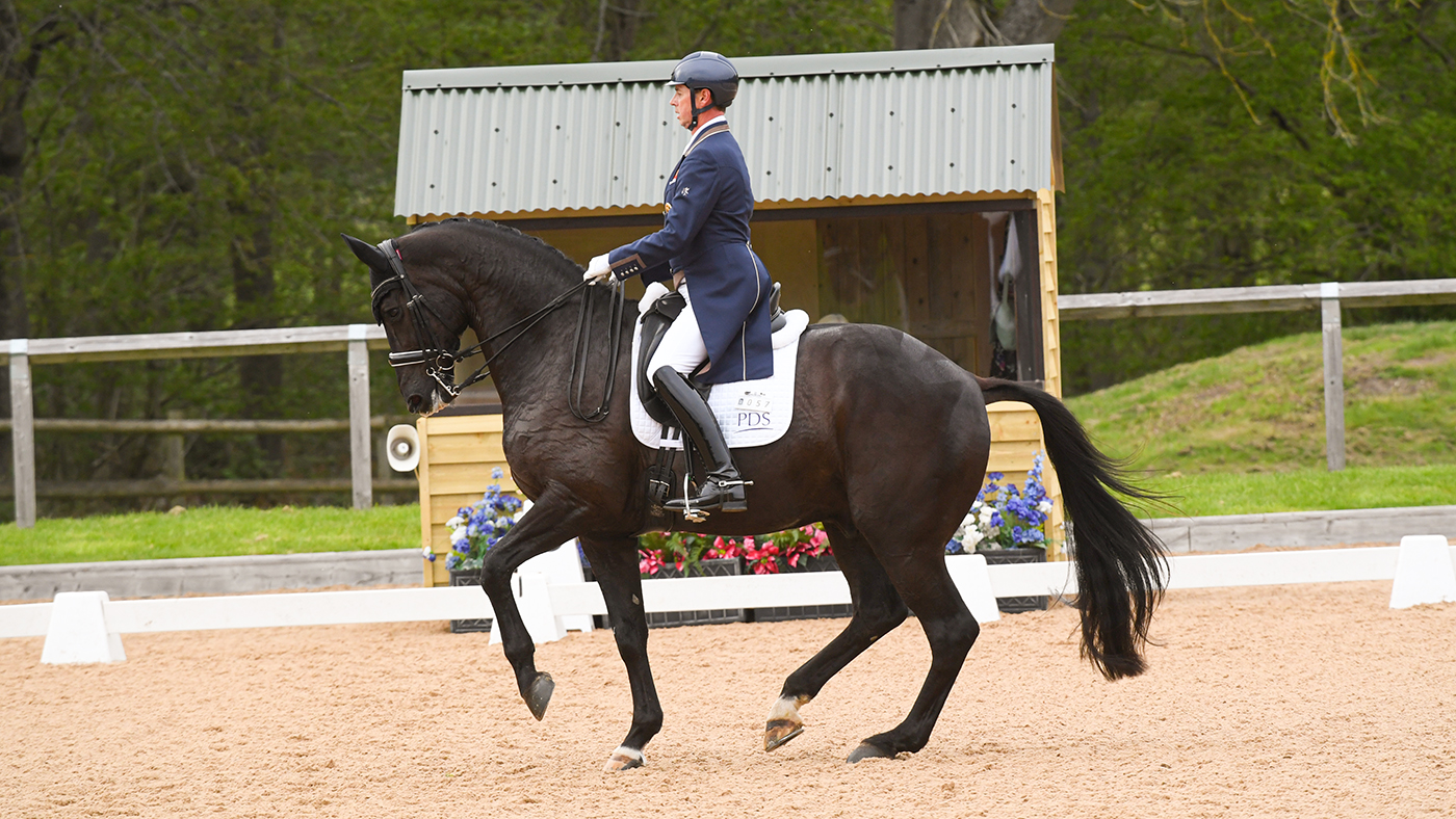 Carl Hester on En Vogue at Wellington CDI3*