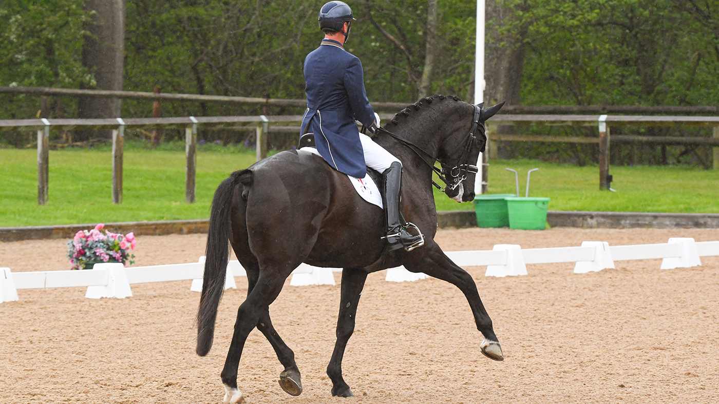 Carl Hester on En Vogue at Wellington CDI3*